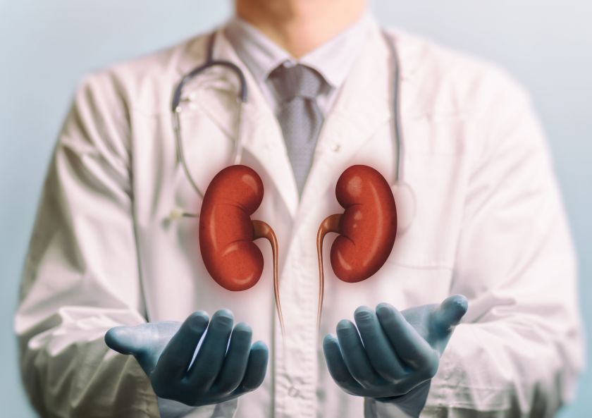 Hepatitu C sirgusio donoro inkstai transplantuoti šia liga jau persirgusiems žmonėms