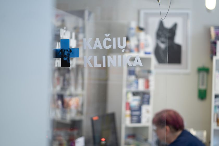 
Kačių klinikos pacientės reikiamą veterinarinę pagalbą gali gauti nepatirdamos streso ir diskomforto                
