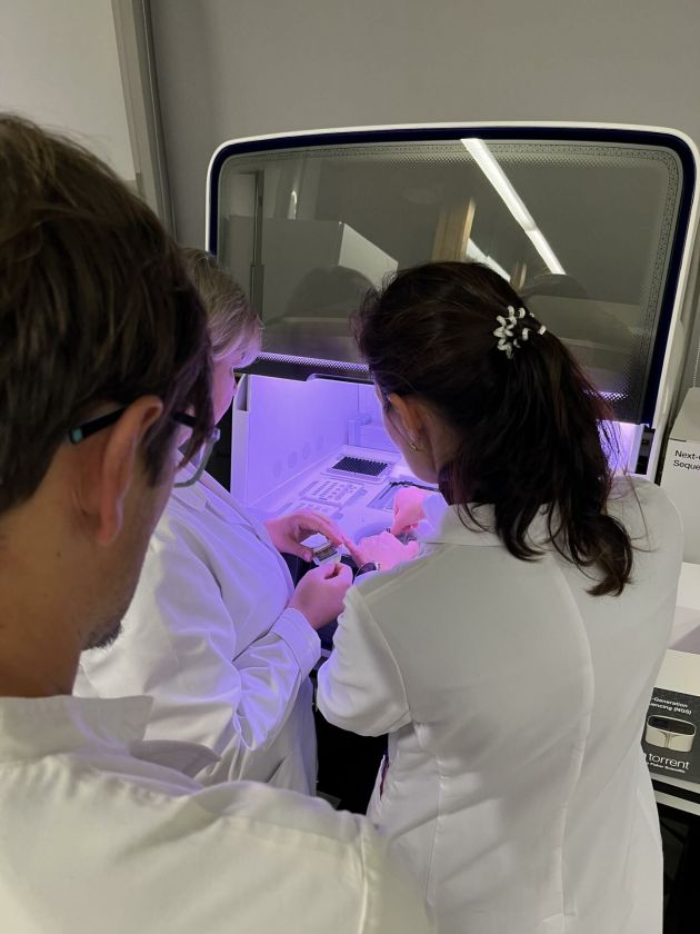 Kanapių likučiai virsta inovacija: kuriamas kanabinoidais praturtintas prebiotikas